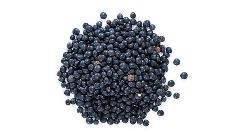 ORGANIC BLACK LENTILS