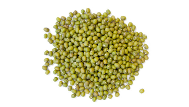 ORGANIC MUNG BEANS